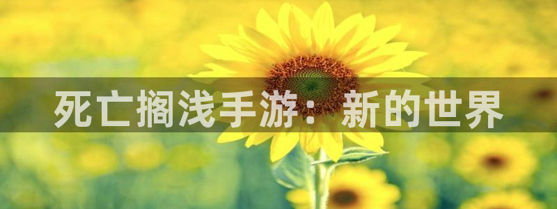极悦娱乐开奖预测：死亡搁浅手游：新的世界