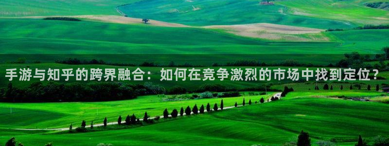 极悦娱乐算法公式：手游与知乎的跨界融合：如何在竞争激烈的市场