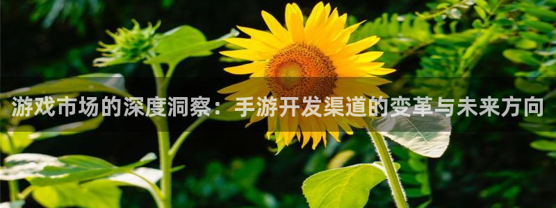 极悦娱乐用不了了：游戏市场的深度洞察：手游开发渠道的变革与未