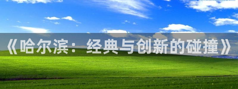 pc极悦娱乐预测百分比：《哈尔滨：经典与创新的碰撞》