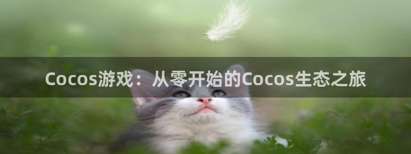 极悦娱乐结果查询：Cocos游戏：从零开始的Cocos生态之