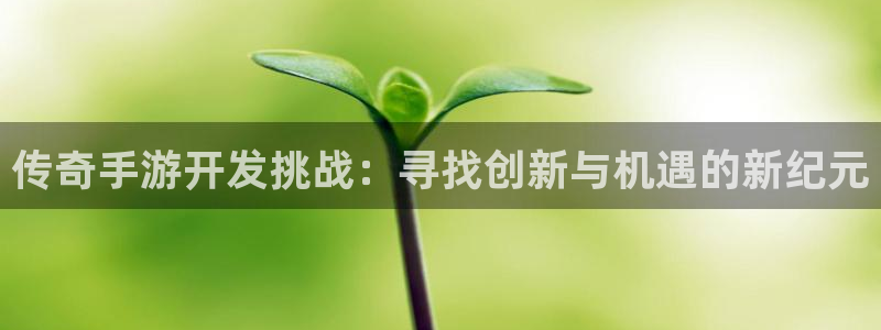 pc极悦娱乐下载安卓：传奇手游开发挑战：寻找创新与机遇的新纪