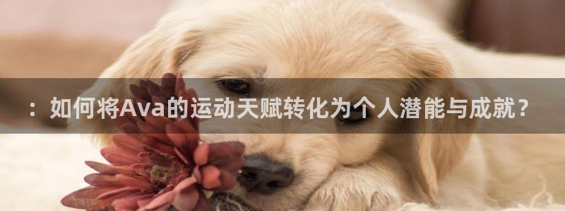 678体育app：：如何将Ava的运动天赋转化为个人潜能与成就？