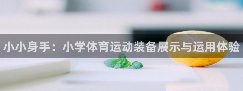 678体育：小小身手：小学体育运动装备展示与运用体验