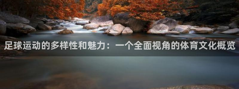 678体育官网地址：足球运动的多样性和魅力：一个全面视角的体育文化概览