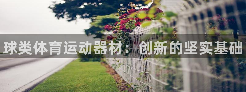 678体育官网下载：球类体育运动器材：创新的坚实基础