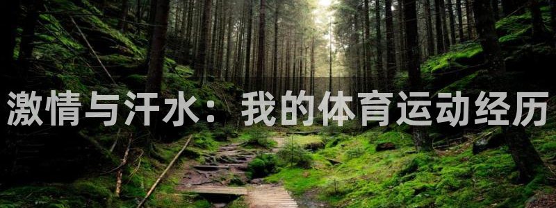 678体育知识：激情与汗水：我的体育运动经历