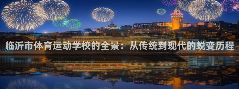 678体育知识：临沂市体育运动学校的全景：从传统到现代的蜕变历程