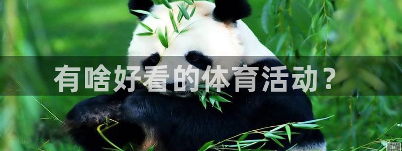 678体育：有啥好看的体育活动？